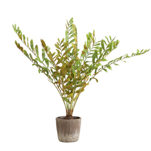 Uttermost Zamia Palm Accent In Rustic Planter - Lush Foliage For Longevity And Resilience Decor  Polyester,Plastic,Iron Wire,Cement 60243