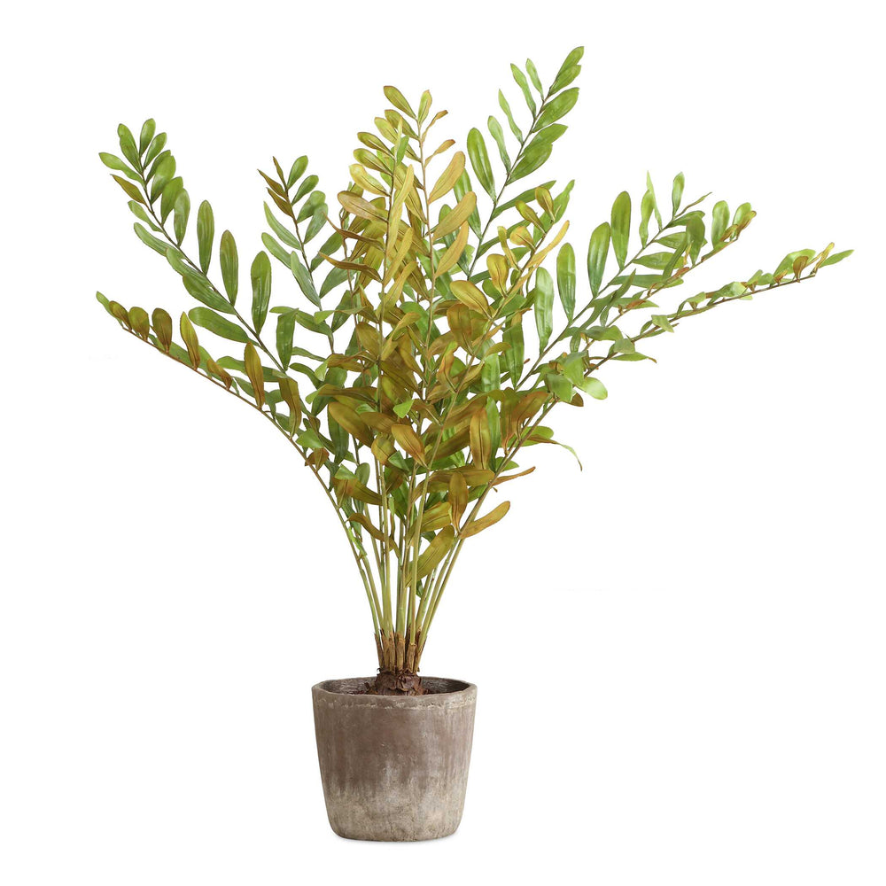 Uttermost Zamia Palm Accent In Rustic Planter - Lush Foliage For Longevity And Resilience Decor  Polyester,Plastic,Iron Wire,Cement 60243
