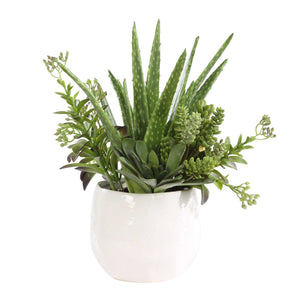 Uttermost Sundown Succulent Accent Planter – Modern Glossy White Ceramic With Vibrant Arid Plants Green,White Polyfoam,Plastic,Iron,Ceramic 60244