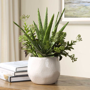 Uttermost Sundown Succulent Accent Planter – Modern Glossy White Ceramic With Vibrant Arid Plants Green,White Polyfoam,Plastic,Iron,Ceramic 60244