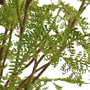 Uttermost Woodland Fern Centerpiece - Lush Fern Fronds In Clear Glass Jar With Natural River Rocks Green Plastic,Iron Wire & Glass 60245