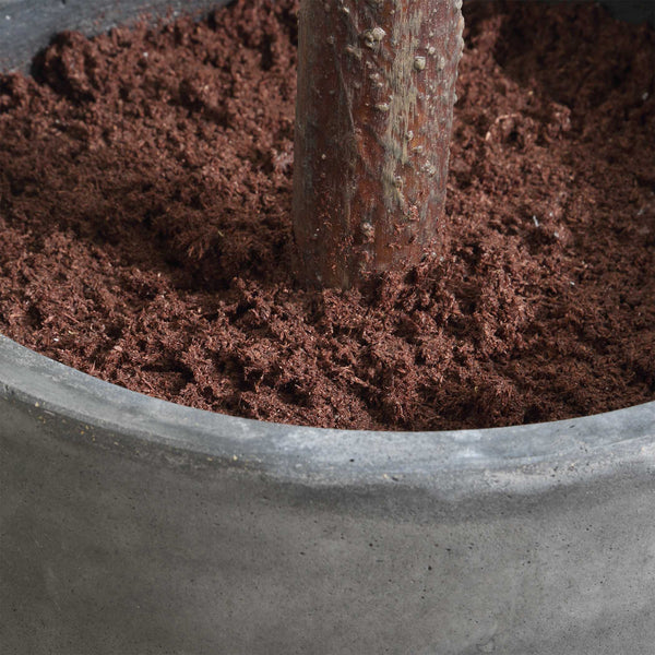 Uttermost Eden Potted Fig Tree - Luxurious Faux Foliage, Easy Setup, Stunning Charcoal Pot Décor Green Polyester,Plastic,Iron Wire,Resin 60246