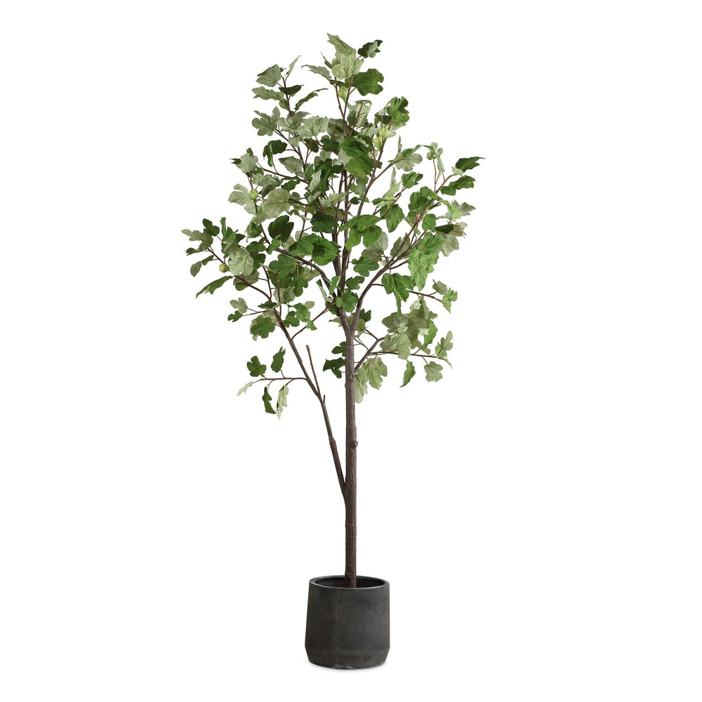 Uttermost Eden Potted Fig Tree - Luxurious Faux Foliage, Easy Setup, Stunning Charcoal Pot Décor Green Polyester,Plastic,Iron Wire,Resin 60246
