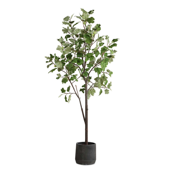 Uttermost Eden Potted Fig Tree - Luxurious Faux Foliage, Easy Setup, Stunning Charcoal Pot Décor Green Polyester,Plastic,Iron Wire,Resin 60246