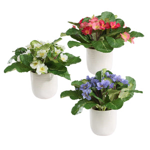 Uttermost Trilogy Primrose Accents Set Of 3 - Charming Periwinkle, White & Fuchsia Blooms In Ceramic Green,White Polyester,Plastic & Ceramic 60247