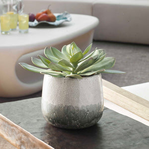 Uttermost Dudleya Gray Outdoor Succulent - Stylish Low-maintenance Greenery In Aged Ceramic Pot Gray,Green Ceramic,Fabric,Latex,Rocks,Foam 60261