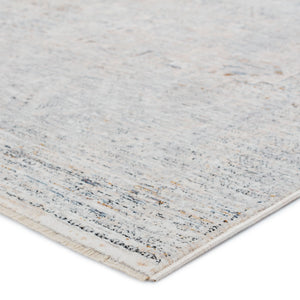 Jaipur Living Jaipur Living Nala Distressed Medallion Polyester Rug for Transitional Spaces Light Gray 4'X6' RUG152719