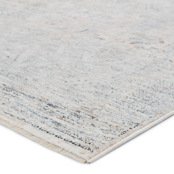 Jaipur Living Jaipur Living Nala Distressed Medallion Polyester Rug for Transitional Spaces Light Gray 4'X6' RUG152719