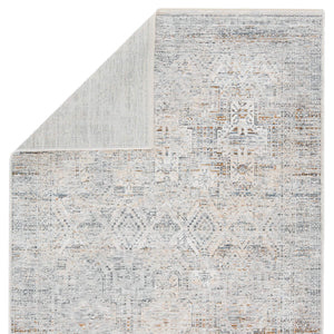 Jaipur Living Jaipur Living Nala Distressed Medallion Polyester Rug for Transitional Spaces Light Gray 4'X6' RUG152719