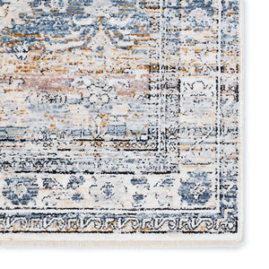 Jaipur Living Jaipur Living Branham Distressed Damask Polyester Area Rug for Rooms 8' x 10' RUG152746