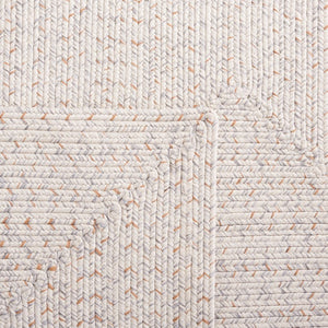 Safavieh Braided Hand Woven Polypropylene Round Rug Neutral Farmhouse Accent for Living Rooms Ivory Light Grey 9' Square BRA201A-9SQ