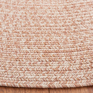 Safavieh Braided Hand Woven Polypropylene Round Rug Neutral Farmhouse Accent for Living Rooms Natural 9' Round BRA201B-9R