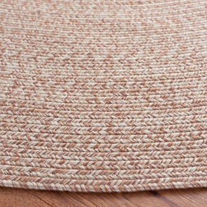 Safavieh Braided Hand Woven Polypropylene Round Rug Neutral Farmhouse Accent for Living Rooms Natural 9' Round BRA201B-9R