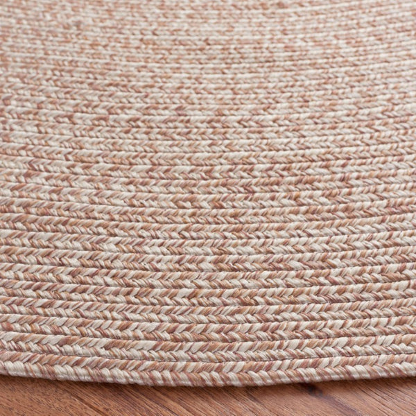 Safavieh Braided Hand Woven Polypropylene Round Rug Neutral Farmhouse Accent for Living Rooms Natural 9' Round BRA201B-9R