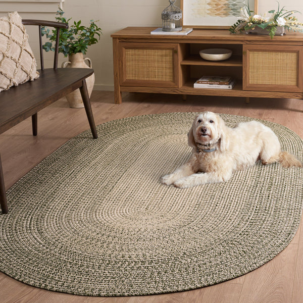 Safavieh Braided Coastal Beige And Green Area Rug — Durable Handwoven Polypropylene, Low-Profile Indoor/Outdoor Decor 8'-0" x 10'-0" BRA220B-8