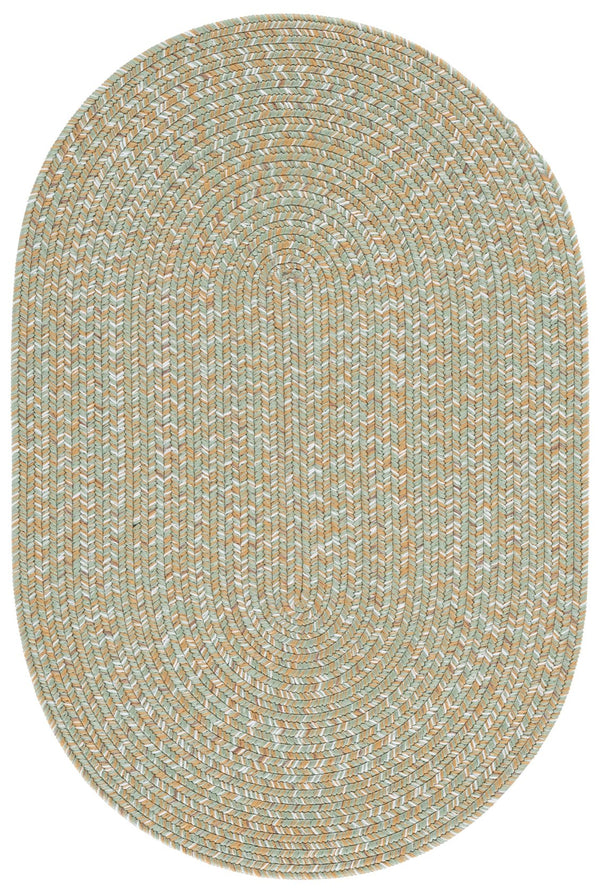 Safavieh Braided 260W Light Green/Sage 2X4 Hand‑Woven Polypropylene Rug — Coastal Indoor/Outdoor Accent Mat, Durable BRA260W-24HM