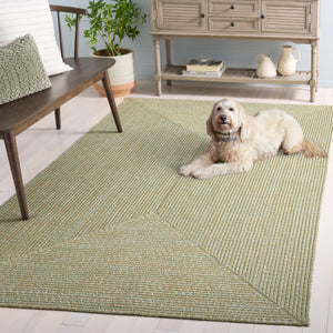 Safavieh Braided Light Sage Area Rug - Handwoven Comfort For Indoor & Outdoor Spaces, Easy Care & Stylish Design Light Green ,Sage Polypropylene Pile Bra260w-6