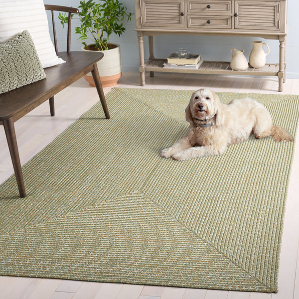Safavieh Braided Light Sage Area Rug - Handwoven Comfort For Indoor & Outdoor Spaces, Easy Care & Stylish Design Light Green ,Sage Polypropylene Pile Bra260w-6
