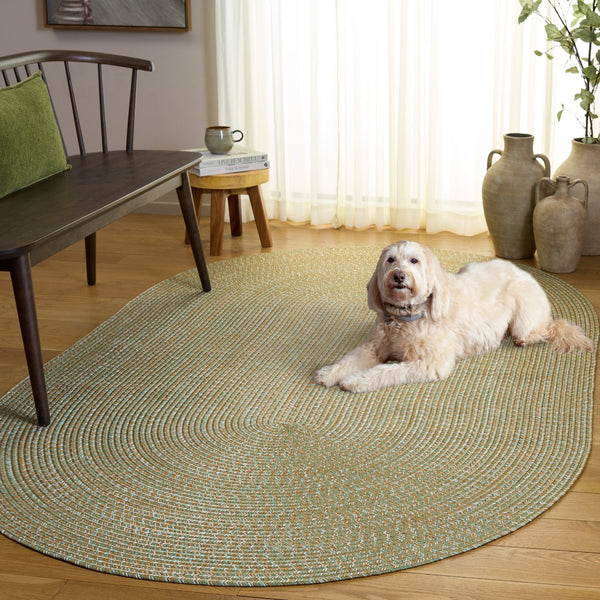 Safavieh Braided Hand Woven Runner Rug In Serene Light Green And Sage For Indoor And Outdoor Spaces Light Green ,Sage Polypropylene Pile Bra260w-5ov