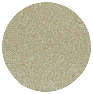 Safavieh Braided 260W Light Green/Sage 2X4 Hand‑Woven Polypropylene Rug — Coastal Indoor/Outdoor Accent Mat, Durable BRA260W-24HM