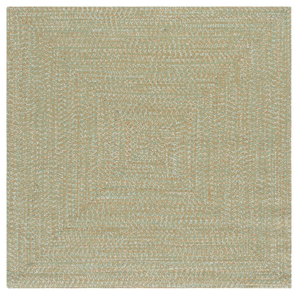 Safavieh Braided 260W Light Green/Sage 2X4 Hand‑Woven Polypropylene Rug — Coastal Indoor/Outdoor Accent Mat, Durable BRA260W-24HM