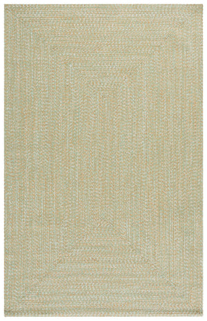 Safavieh Braided 260W Light Green/Sage 2X4 Hand‑Woven Polypropylene Rug — Coastal Indoor/Outdoor Accent Mat, Durable BRA260W-24HM