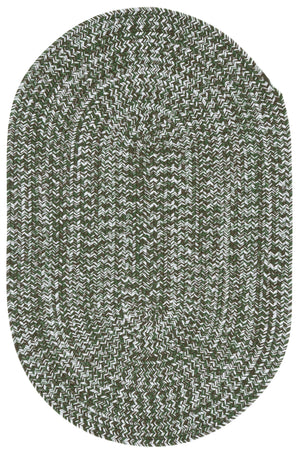 Safavieh Braided Light Sage Area Rug - Handwoven Comfort For Indoor & Outdoor Spaces, Easy Care & Stylish Design Dark Green Polypropylene Pile Bra260x-8
