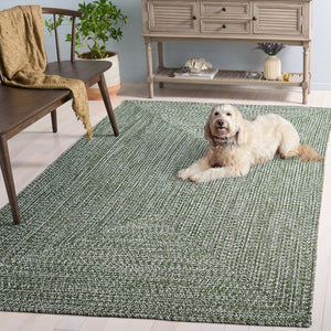 Safavieh Braided Hand Woven Runner Rug In Serene Light Green And Sage For Indoor And Outdoor Spaces Dark Green Polypropylene Pile Bra260x-5