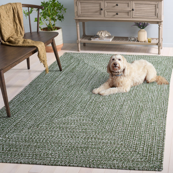 Safavieh Braided Light Sage Area Rug - Handwoven Comfort For Indoor & Outdoor Spaces, Easy Care & Stylish Design Dark Green Polypropylene Pile Bra260x-8