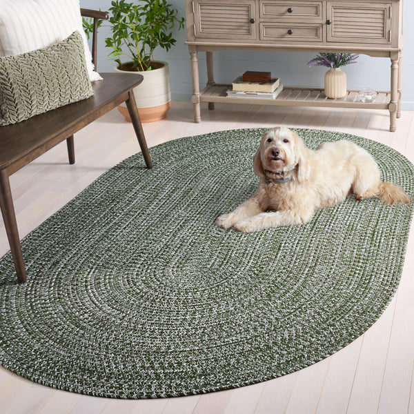 Safavieh Braided Light Sage Area Rug - Handwoven Comfort For Indoor & Outdoor Spaces, Easy Care & Stylish Design Dark Green Polypropylene Pile Bra260x-8