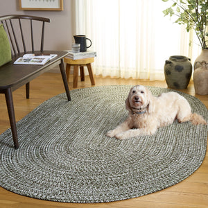 Safavieh Braided Hand Woven Runner Rug In Serene Light Green And Sage For Indoor And Outdoor Spaces Green Polypropylene Pile Bra260y-5ov