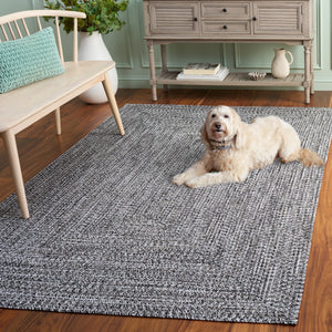 Safavieh Braided Light Sage Area Rug - Handwoven Comfort For Indoor & Outdoor Spaces, Easy Care & Stylish Design Black ,Ivory Polypropylene Pile Bra260z-3