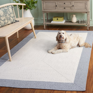 Safavieh Braided Indoor Outdoor Area Rug - Hand Woven Polypropylene, Washable, Durable & Versatile Design Ivory ,Grey Polypropylene Pile Bra281a-6