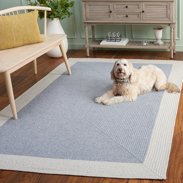 Safavieh Braided Area Rug - Elegant Ivory And Grey Runner For Indoor/Outdoor Spaces, Washable Design Grey ,Ivory Polypropylene Pile Bra281f-5