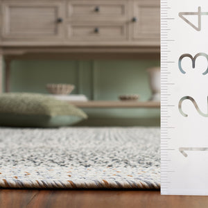 Safavieh Braided Area Rug - Elegant Ivory And Grey Runner For Indoor/Outdoor Spaces, Washable Design Ivory ,Grey Black Polypropylene Pile Bra281g-5