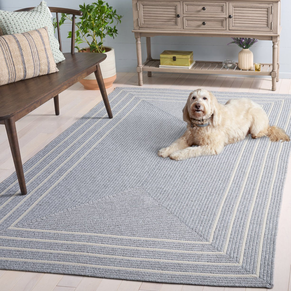 Safavieh Braided Area Rug - Elegant Hand Woven Design For Indoor/Outdoor Spaces, Washable & Stylish Home Decor Light Grey ,Ivory Polypropylene Pile Bra282f-3