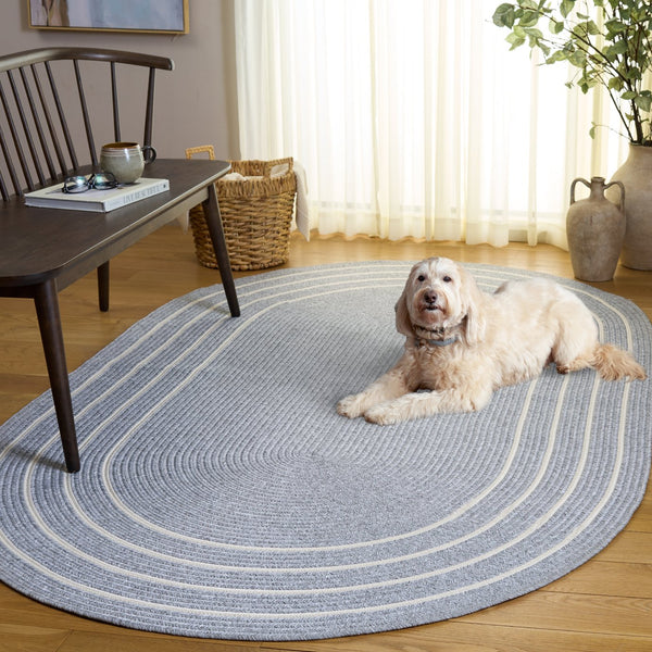 Safavieh Braided Area Rug - Elegant Hand Woven Design For Indoor/Outdoor Spaces, Washable & Stylish Home Decor Light Grey ,Ivory Polypropylene Pile Bra282f-3