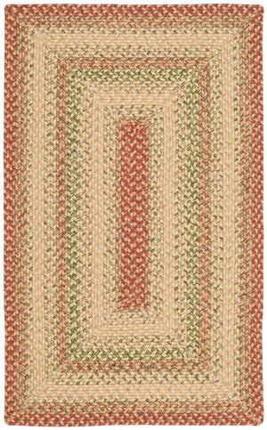 Safavieh Braided Handwoven 6'X8' Oval Rug Rust Multi – Low-Profile 1/4" Polypropylene, Indoor/Outdoor Durable Elegance BRD303A-68OV