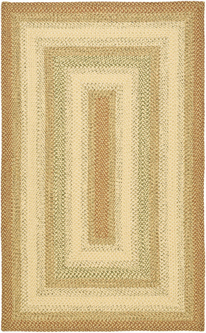 Safavieh Braided Handwoven 6'X8' Oval Rug Rust Multi – Low-Profile 1/4" Polypropylene, Indoor/Outdoor Durable Elegance BRD303A-68OV