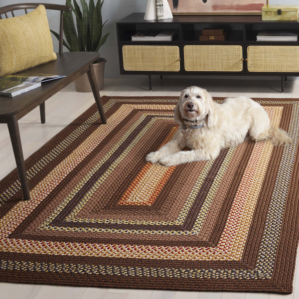 Safavieh Braided Hand-woven Area Rug - Elegant Multi-tonal Design For Indoor/Outdoor Spaces, Easy Care Brown ,Light Brown Polypropylene Pile Brd313t-24hm