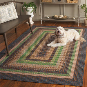 Safavieh Braided Hand Woven Indoor/Outdoor Rug - Durable, Stylish Grey And Rust Design For High-traffic Areas Brown ,Green Polypropylene Pile Brd314t-6ov