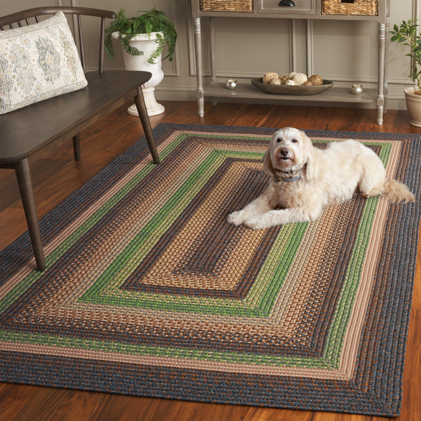 Safavieh Braided Hand Woven Indoor/Outdoor Rug - Durable, Stylish Grey And Rust Design For High-traffic Areas Brown ,Green Polypropylene Pile Brd314t-6ov