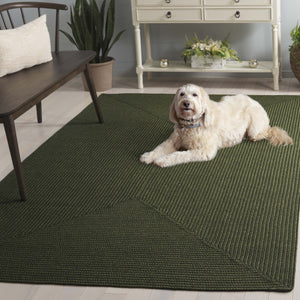 Safavieh Braided Area Rug - Stylish Green Design For Indoor/Outdoor Spaces, Perfect For Comfort And Elegance Green Polypropylene Pile Brd315a-10r