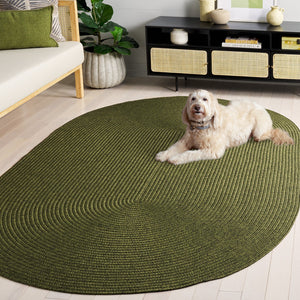 Safavieh Braided Area Rug - Stylish Green Design For Indoor/Outdoor Spaces, Perfect For Comfort And Elegance Green Polypropylene Pile Brd315a-10r