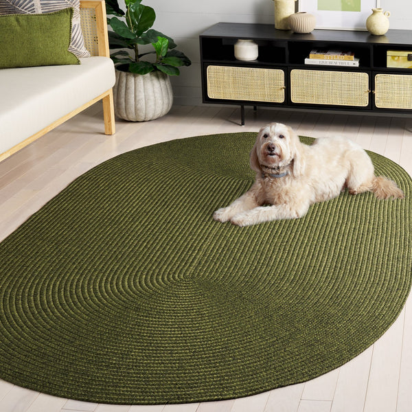 Safavieh Braided Area Rug - Stylish Green Design For Indoor/Outdoor Spaces, Perfect For Comfort And Elegance Green Polypropylene Pile Brd315a-10r