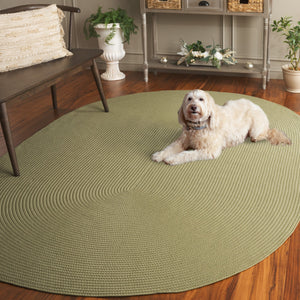 Safavieh Braided Area Rug - Stylish Green Design For Indoor/Outdoor Spaces, Perfect For Comfort And Elegance Sage Polypropylene Pile Brd315w-6ov