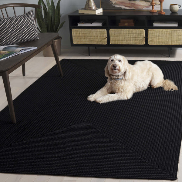 Safavieh Braided Area Rug - Stylish Green Design For Indoor/Outdoor Spaces, Perfect For Comfort And Elegance Black Polypropylene Pile Brd315z-6r