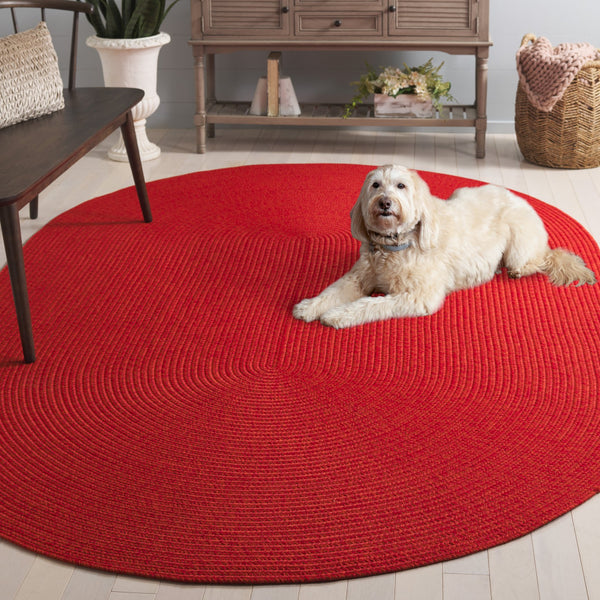 Safavieh Braided Indoor/Outdoor Area Rug - Elegant Rust Red Design For Hallways And Living Spaces Decor Rust ,Red Polypropylene Pile Brd317p-3ov