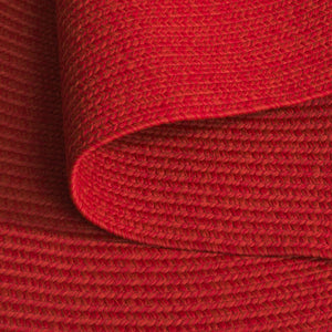 Safavieh Braided Indoor/Outdoor Area Rug - Elegant Rust Red Design For Hallways And Living Spaces Decor Rust ,Red Polypropylene Pile Brd317p-3ov