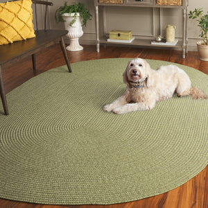 Safavieh Braided Indoor/Outdoor Area Rug - Elegant Rust Red Design For Hallways And Living Spaces Decor Sage Polypropylene Pile Brd317w-4sq